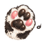 LuluClaw